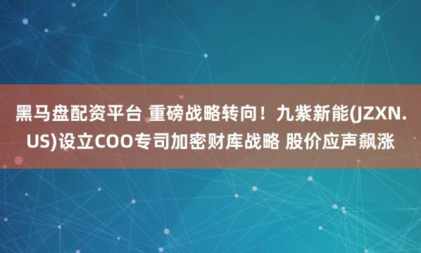 黑马盘配资平台 重磅战略转向！九紫新能(JZXN.US)设立COO专司加密财库战略 股价应声飙涨