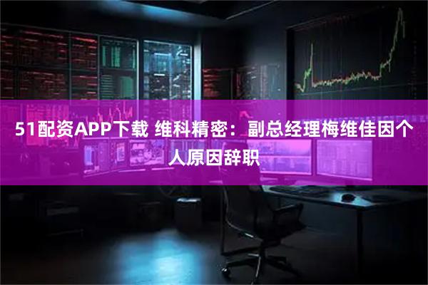 51配资APP下载 维科精密：副总经理梅维佳因个人原因辞职