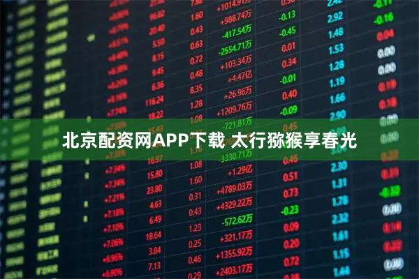 北京配资网APP下载 太行猕猴享春光