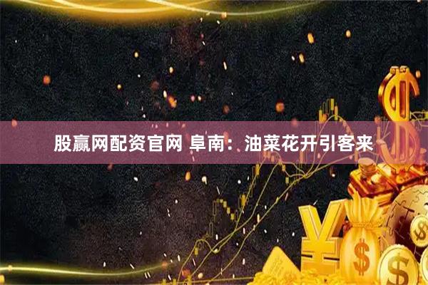 股赢网配资官网 阜南:油菜花开引客来