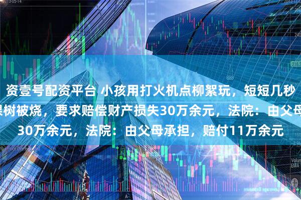 资壹号配资平台 小孩用打火机点柳絮玩，短短几秒火势蔓延，邻居251棵树被烧，要求赔偿财产损失30万余元，法院：由父母承担，赔付11万余元